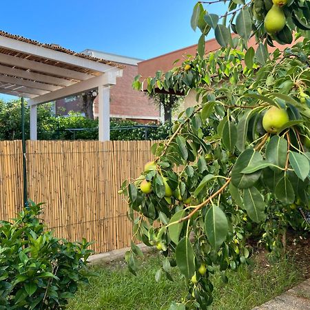 Apartamento Civiconove Piombino Exterior foto